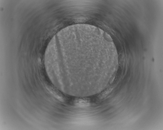 X0000077350655200611171859