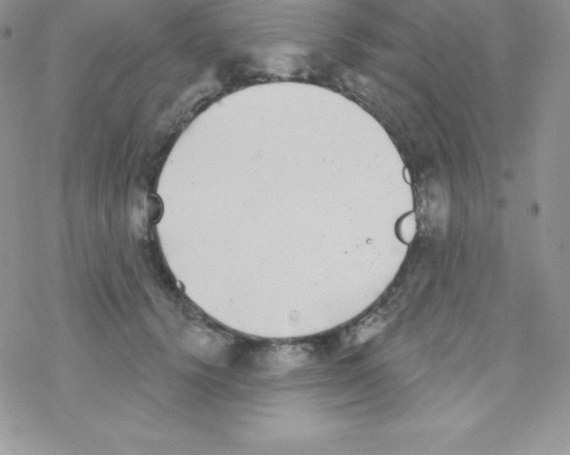 X0000077350656200611171859