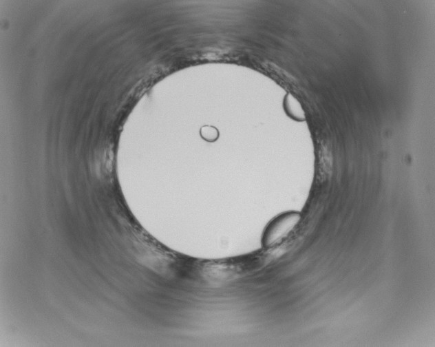 X0000077350657200611171859