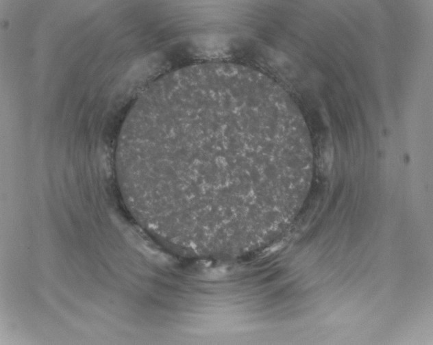 X0000077350658200611171859