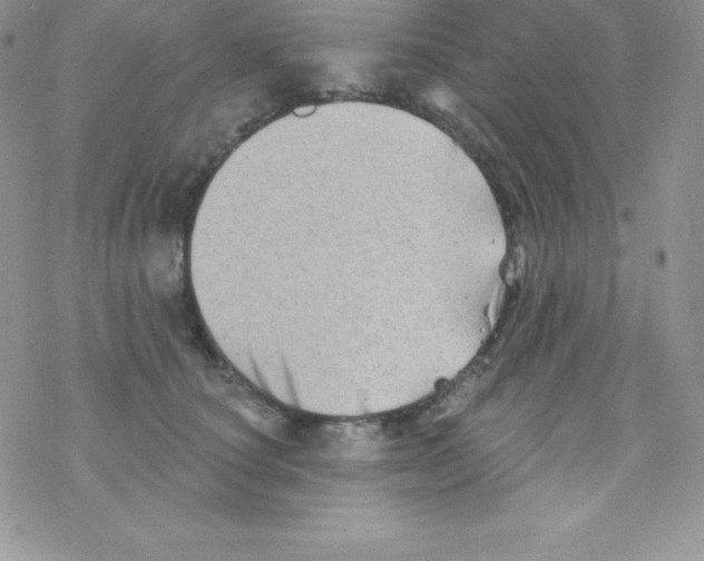 X0000077350660200611171859