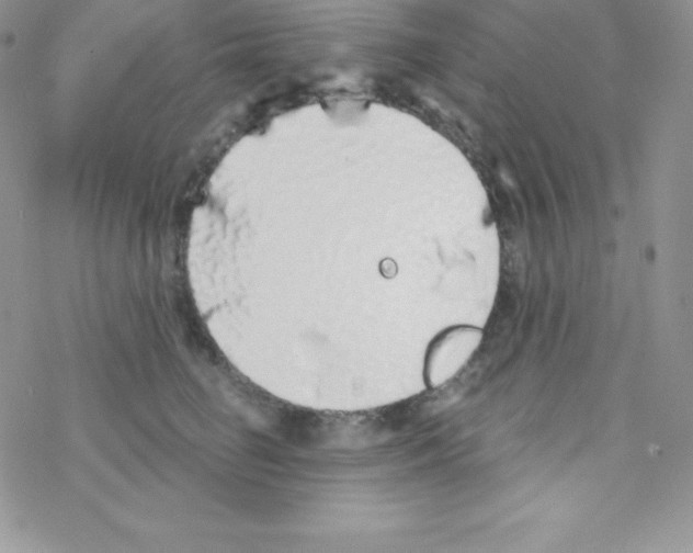 X0000077350662200611171859