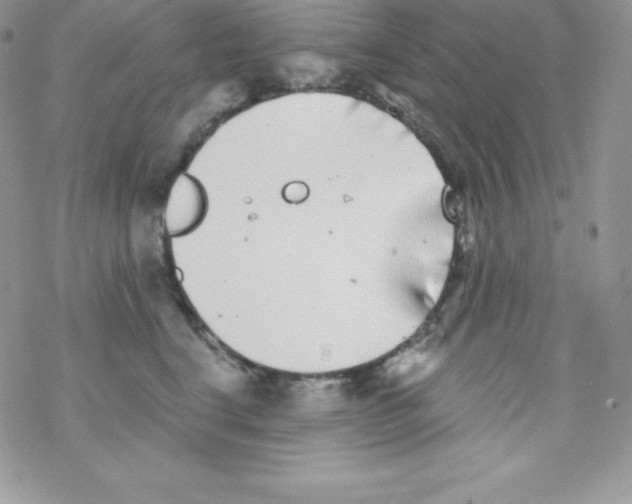 X0000077350664200611171859