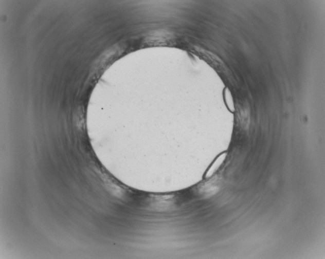 X0000077350665200611171859