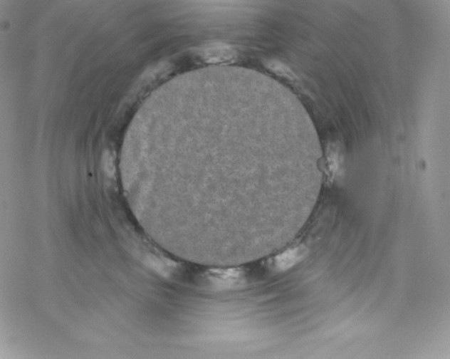 X0000077350667200611171859