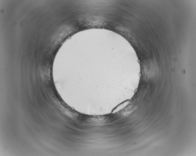 X0000077350668200611171859