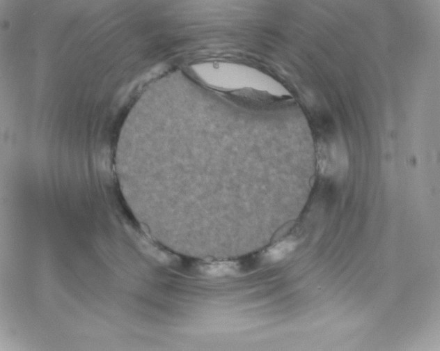 X0000077350670200611171859