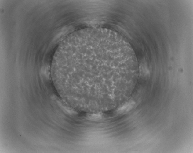 X0000077350671200611171859