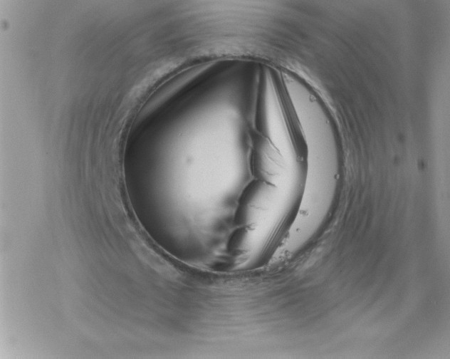 X0000077350673200611171859