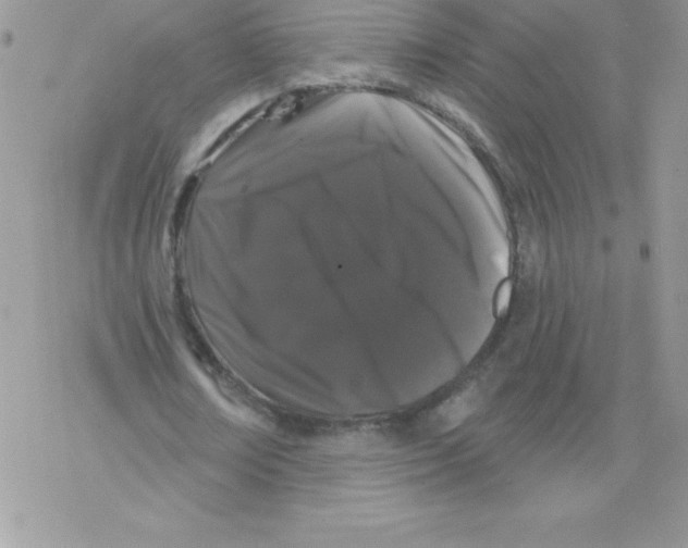 X0000077350674200611171859