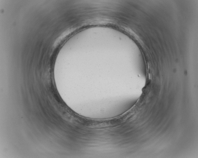 X0000077350675200611171859