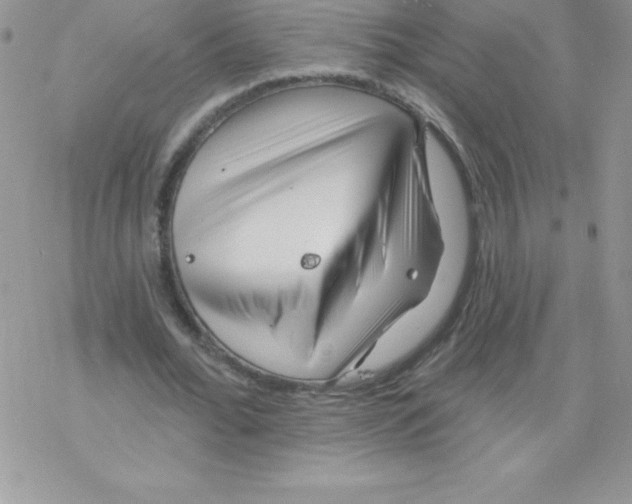 X0000077350676200611171859