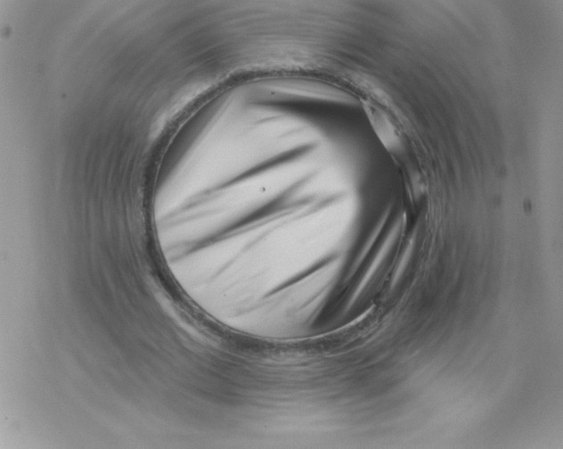 X0000077350677200611171859