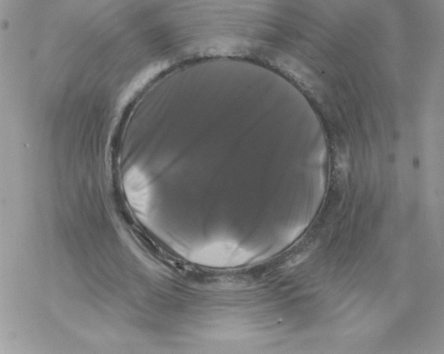 X0000077350678200611171859