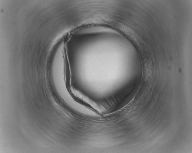 X0000077350680200611171859