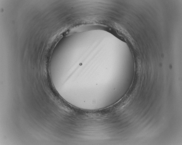 X0000077350681200611171859