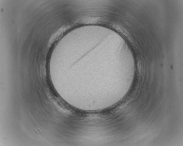 X0000077350682200611171859