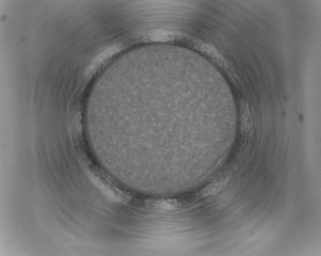 X0000077350683200611171859