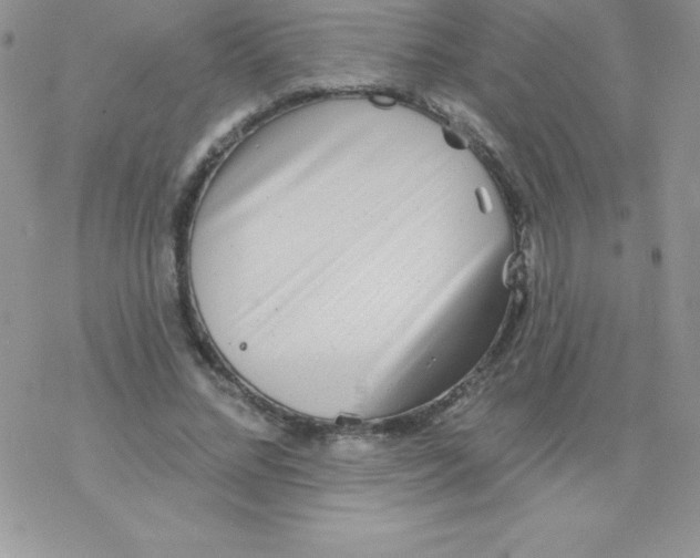 X0000077350684200611171858