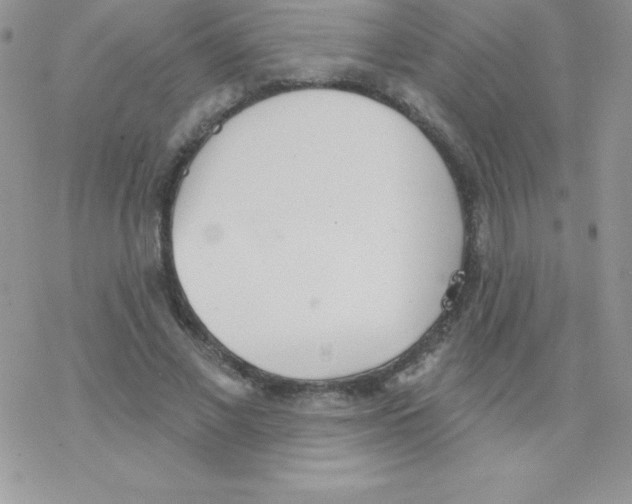 X0000077350685200611171858