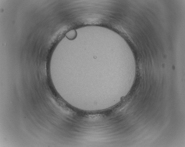 X0000077350686200611171858