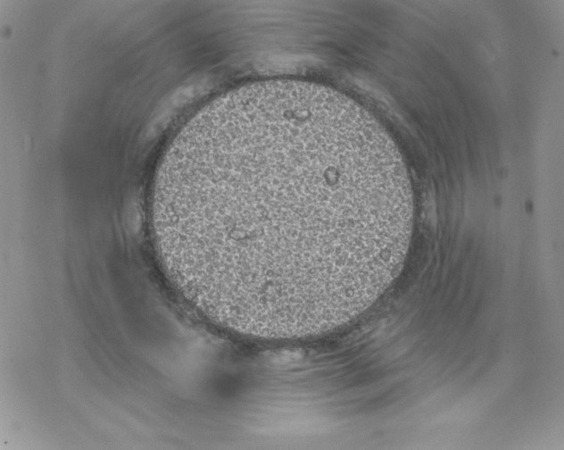 X0000077350687200611171858