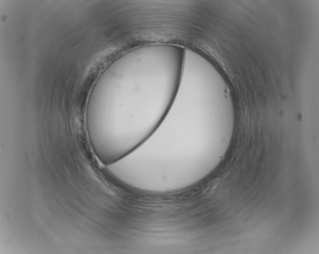 X0000077350688200611171858