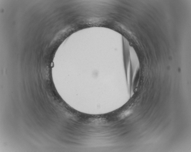 X0000077350689200611171858