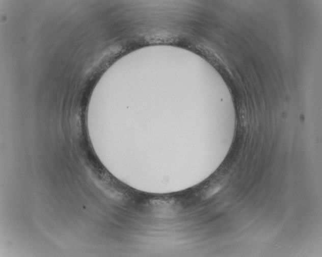 X0000077350690200611171858