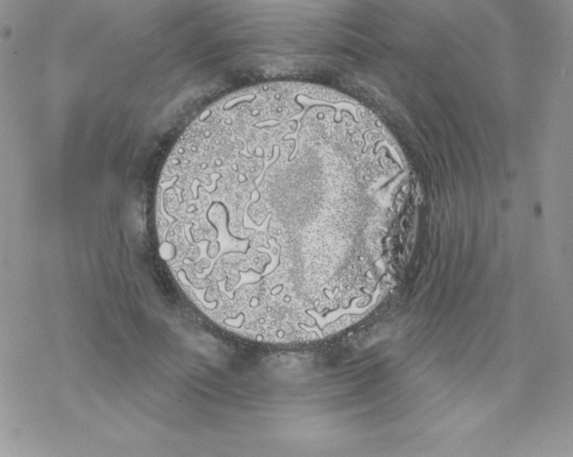 X0000077350691200611171858