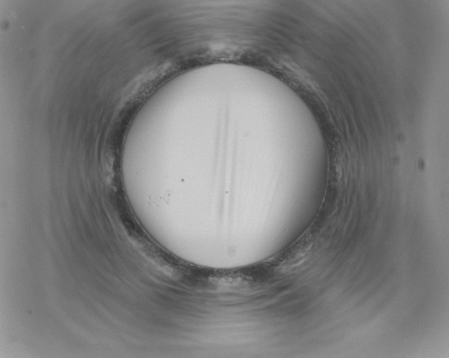 X0000077350693200611171858