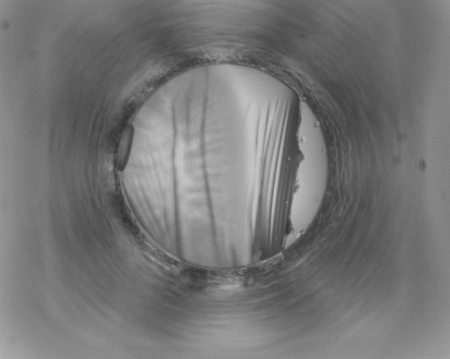 X0000077350696200611171858