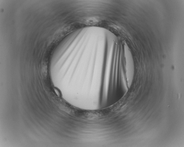 X0000077350697200611171858