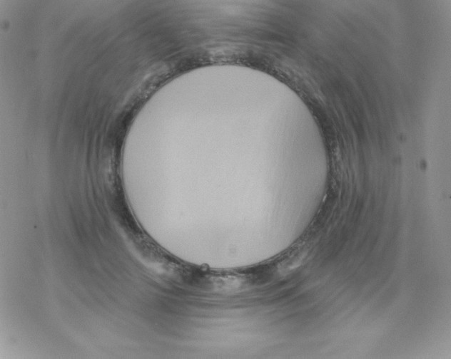 X0000077350698200611171858