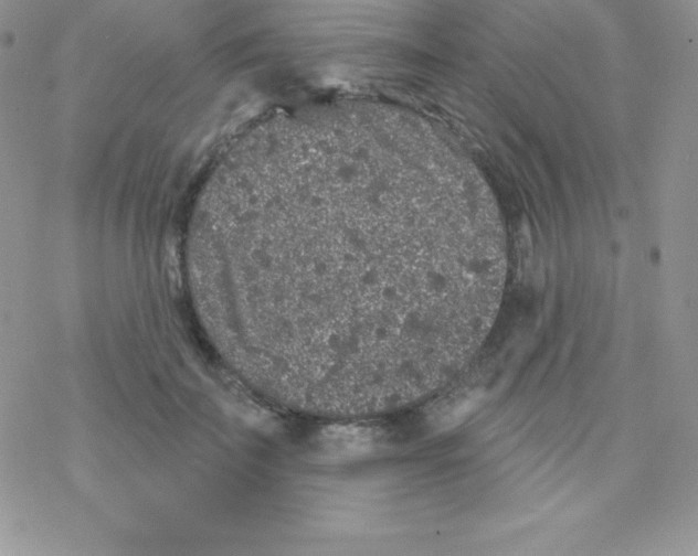 X0000077350699200611171858