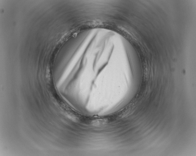 X0000077350700200611171858