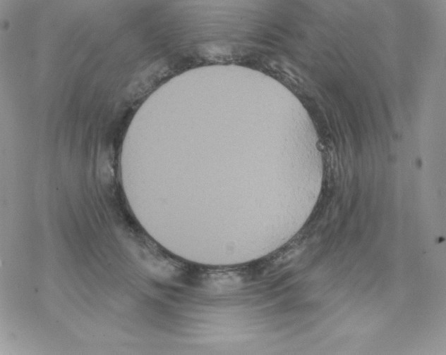 X0000077350702200611171858