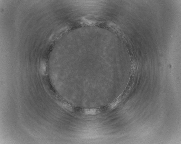 X0000077350709200611171858