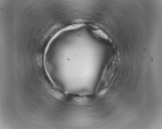 X0000077350712200611171858