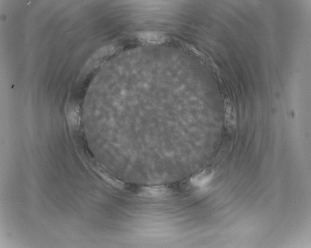 X0000077350713200611171858