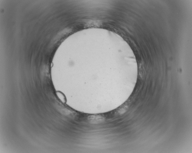 X0000077350714200611171858