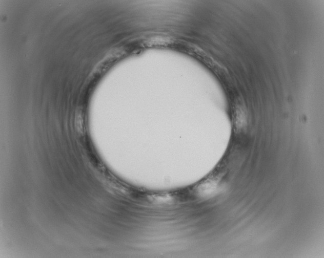 X0000077350715200611171858