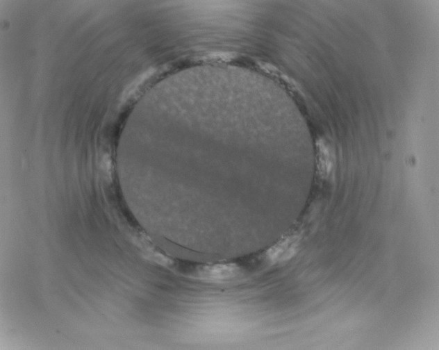 X0000077350716200611171858