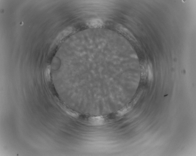 X0000077350717200611171858