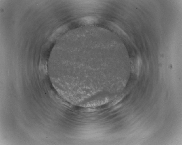 X0000077350718200611171858