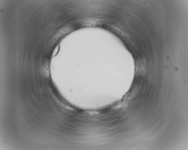 X0000077350719200611171858