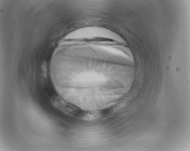 X0000077350720200611171858