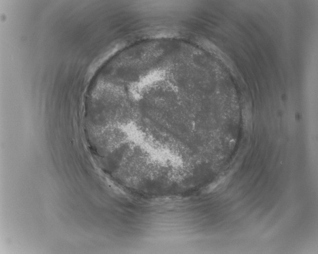 X0000077350721200611171857