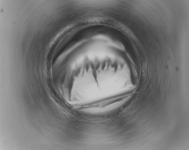 X0000077350722200611171857