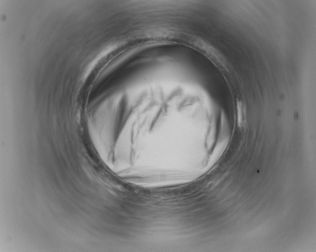 X0000077350723200611171857